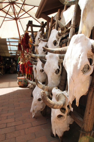 This July 14, 2010 image shows cow skulls for sale in one of the shops near the historic plaza in Santa Fe, N.M. A national historic landmark, the plaza has served as the commercial, social and po ...