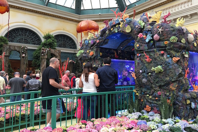 Guests line up to walk through the two 20 ft. aquariums designed by the stars of Animal Planet's hit show "Tanked" at the opening of the Bellagio Conservatory's "Under the Sea" display on Friday,  ...