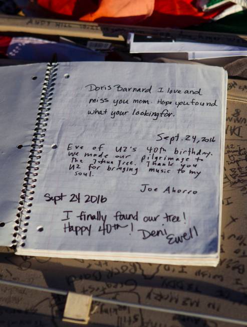 A notebook left by fans of rock band U2 sits with the fallen tree that appeared in the band's 1 ...