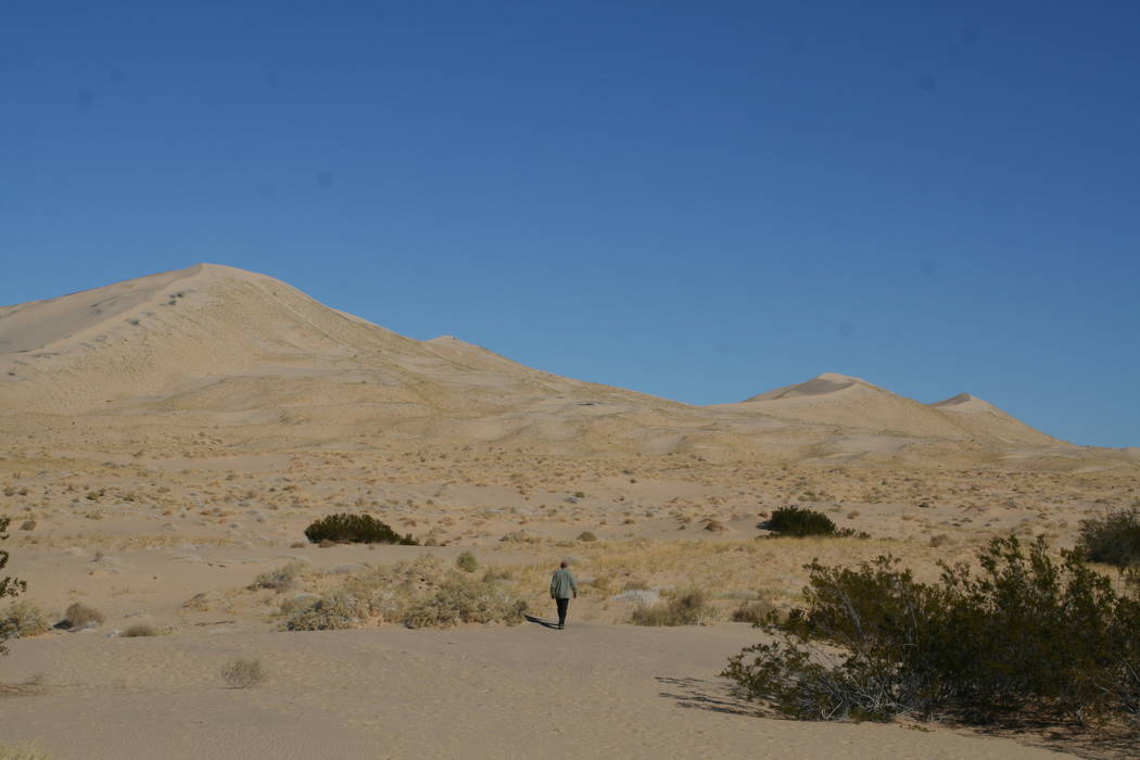 Kelso Sand Dunes, Mojave National Preserve, California (Deborah Wall)