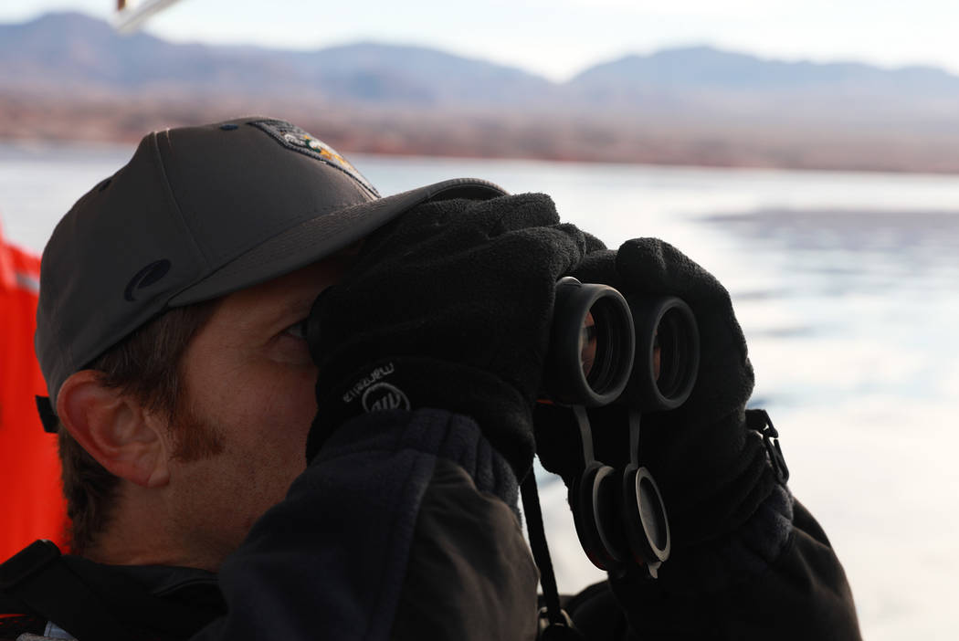Southern Region Supervising Biologist Joe Barnes, 39, scans the sky for bald eagles at Lake Mead National Recreation Area, Wednesday, Jan. 17, 2018. Survey teams set out at dawn to survey the loca ...