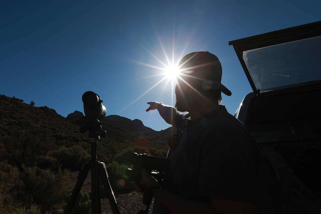 Joe Barnes, a biologist with the Nevada Department of Wildlife, looks for golden eagle nestling ...