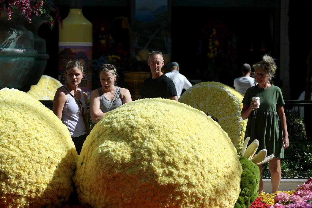 Guests check out ÒThatÕs AmorŽ,Ó the Bellagio Conservatory's summer display Monday, June 18, 2018. The display, based on an Italian summer, will be will be open through Septem ...