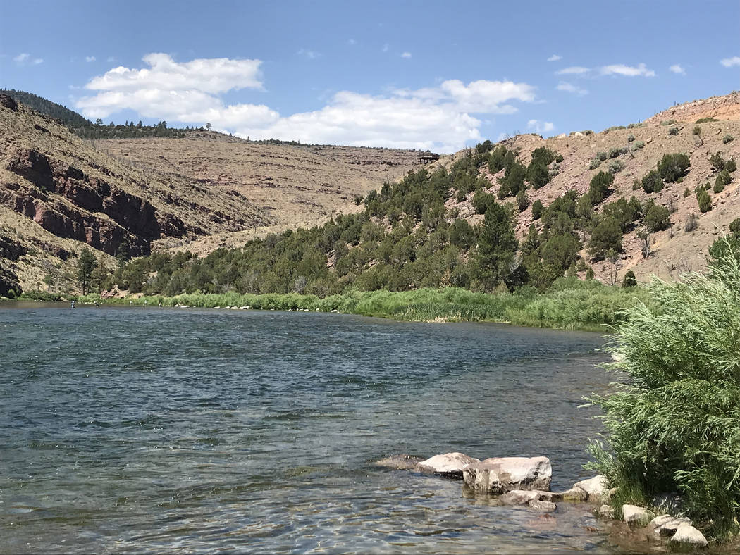 The Green River below the Flaming Gorge Dam is a fly-fisherman’s paradise. (Deborah Wall)