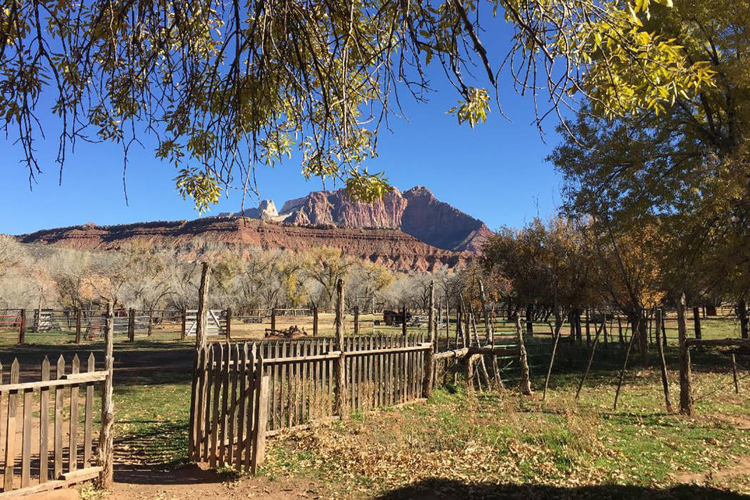 Looking north from the historic Grafton townsite toward Zion’s Mount Kinesava. (Deborah Wall/Las Vegas Review-Journal)