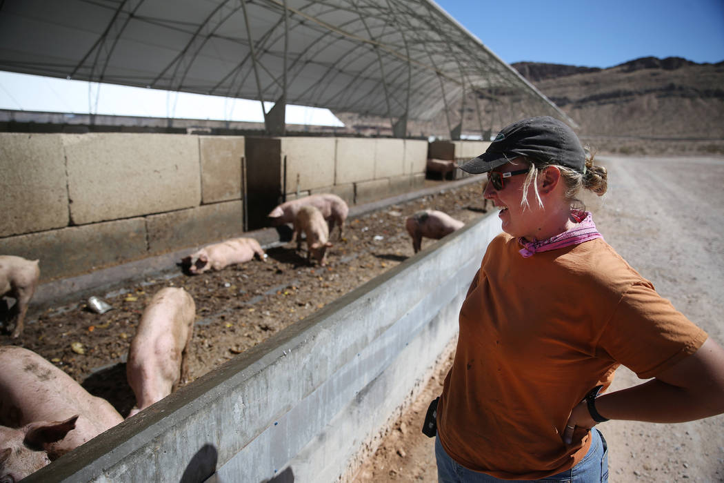 Farm manager Sarah Stallard at Las Vegas Livestock near Apex in Las Vegas, Thursday, Sept. 20, ...