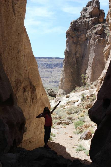 Unearthly formations surround visitors to lower Banshee Canyon in Mojave National Preserve, Cal ...