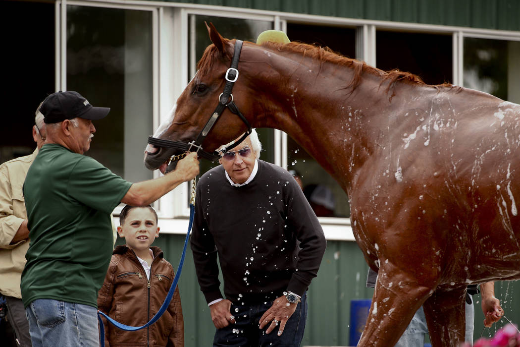 Trainer Bob Baffert, right, watches as Triple Crown hopeful Justify is bathed after a workout at Belmont Park, Thursday, June 7, 2018, in Elmont, N.Y. Justify will attempt to become the 13th Tripl ...