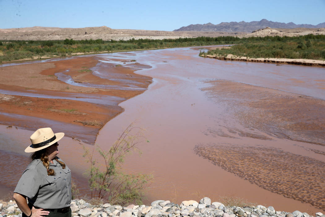 Lake Mead National Recreation Area spokeswoman Christie Vanover overlooks the Virgin River from the closed Overton Beach Marina Friday, Oct. 12, 2018. Vanover said the lake has receded about a mil ...
