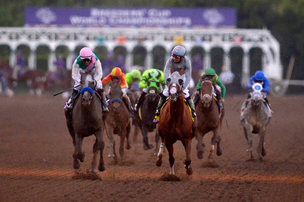 Santa Anita in Arcadia, California. (AP Photo/Mark J. Terrill)