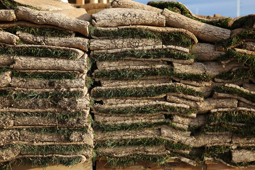 Pallets of sod are displayed at Star Nursery on Tuesday, March 5, 2019, in Henderson. (Bizuayehu Tesfaye Las Vegas Review-Journal) @bizutesfaye