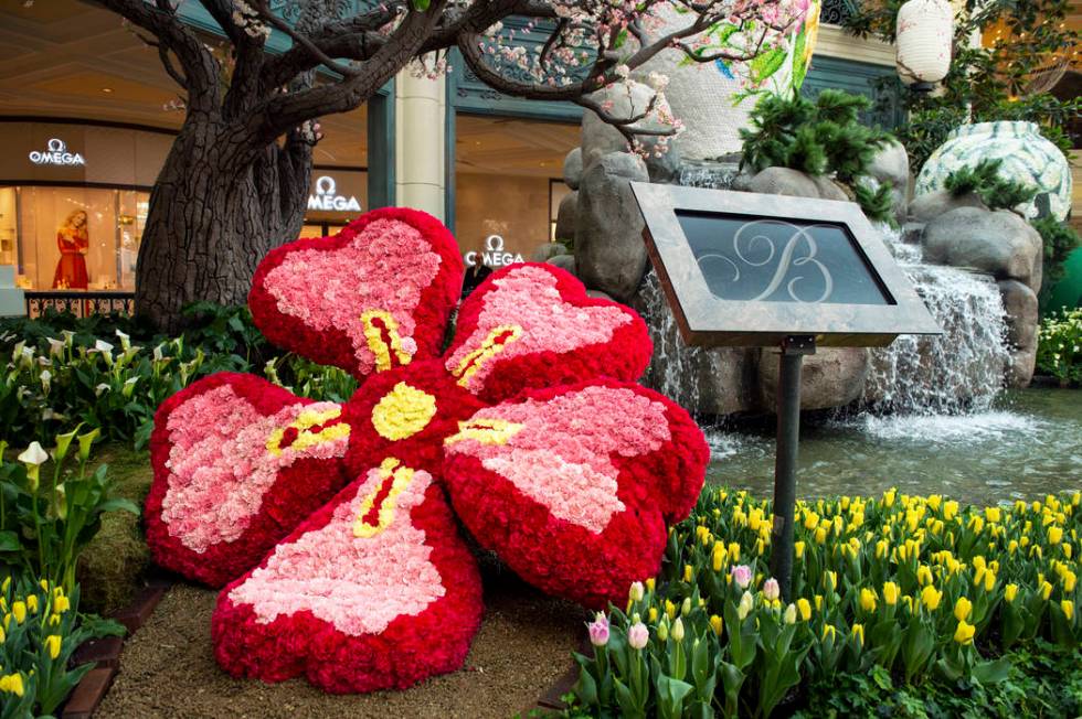 The Bellagio showcases its spring display at the Bellagio Conservatory & Botanical Gardens ...