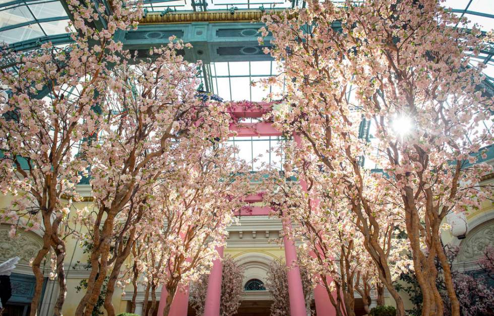 The Bellagio showcases its spring display at the Bellagio Conservatory & Botanical Gardens in L ...