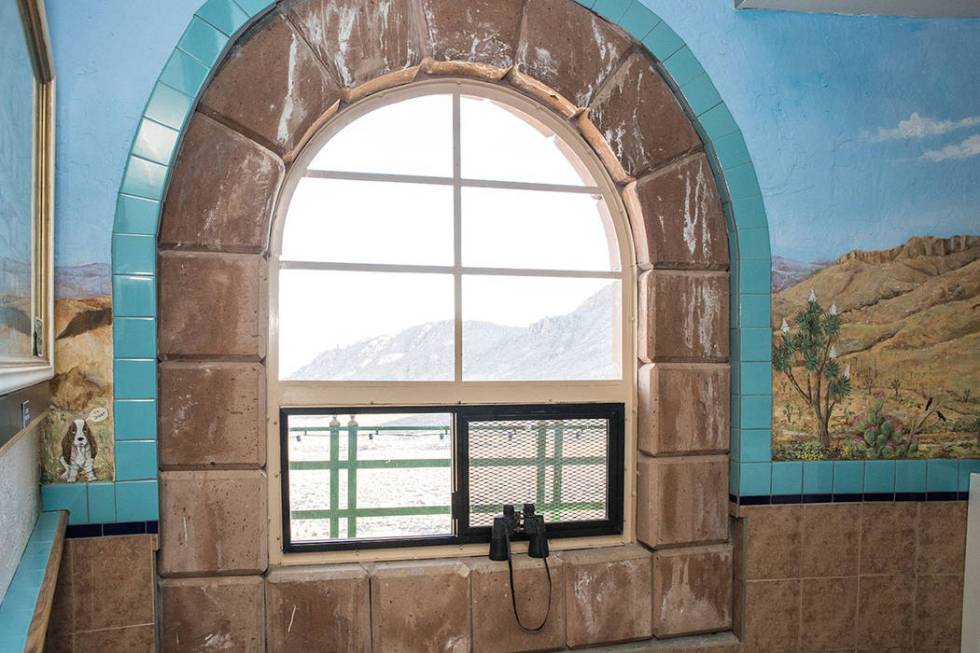 The windows have sweeping views of the mountains. (Tonya Harvey Real Estate Millions)