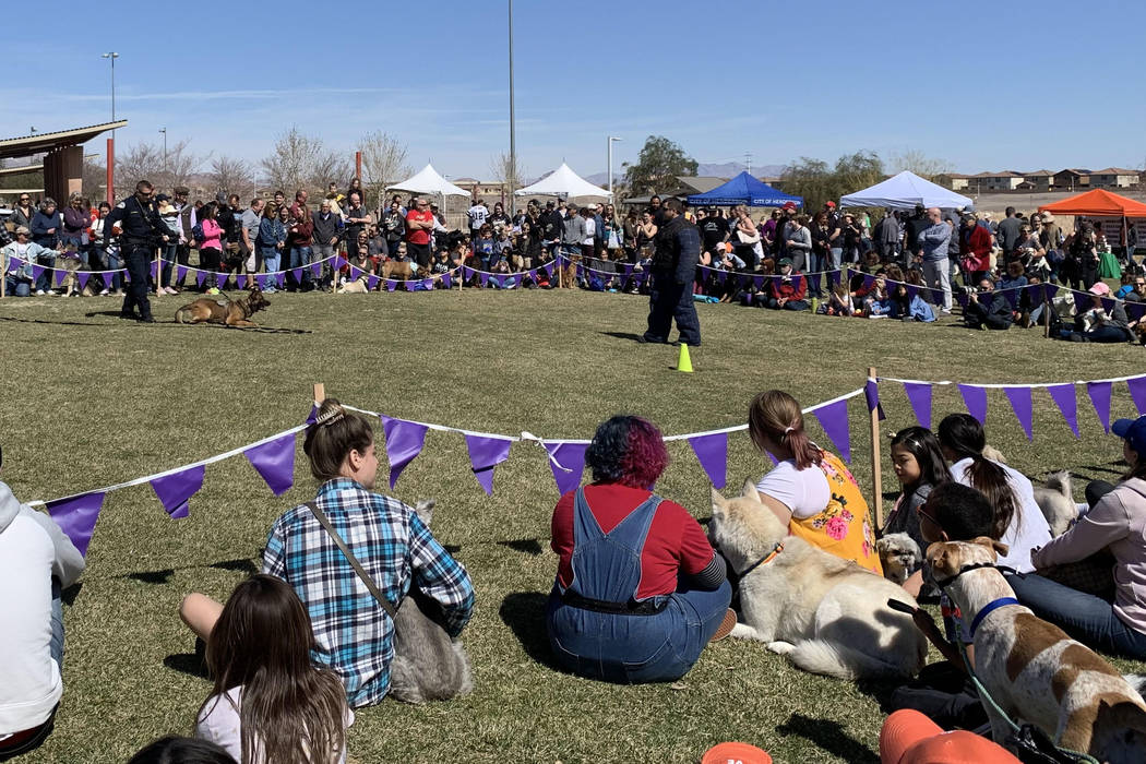 Bark in the Park attendees watch a demonstration by the Henderson Police Departmentճ K-9 unit at Cornerstone Park in Henderson, Saturday, March 9, 2019. (Jessica Terrones / Las Vegas Review- ...