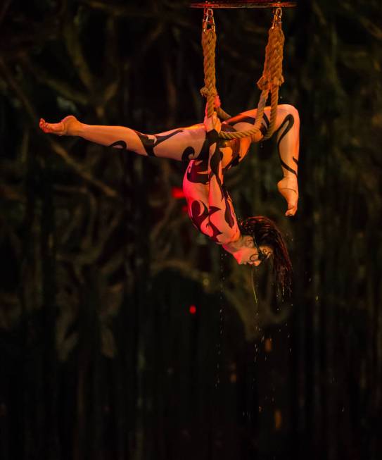 A scene from "One Night For One Drop," held at O Theater at the Bellagio on Friday, March 8, 2019. (Erik Kabik Photography)