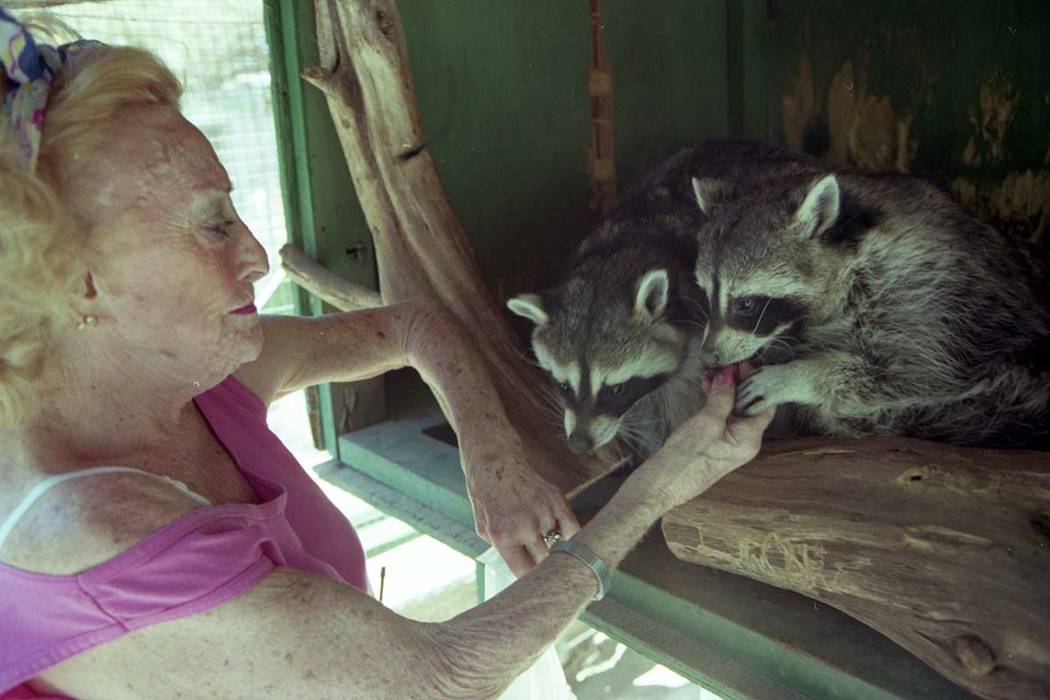 Bonnie Springs/Old Nevada founder Bonnie Levinson feeds animals at her petting zoo in August 1997. (Las Vegas Review-Journal file)