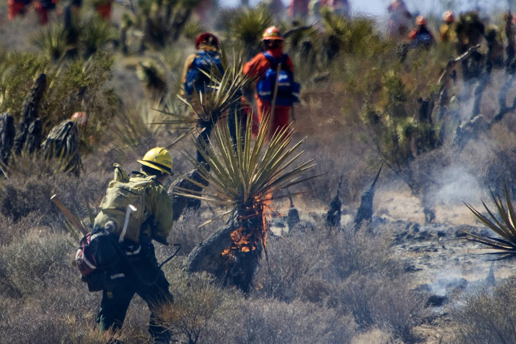 Firefighters work to extinguish a wildfire near Bonnie Springs in the Red Rock National Conservation Area Tuesday morning, July 3, 2007. The 400-acre wildfire led authorities to close the 13-mile ...