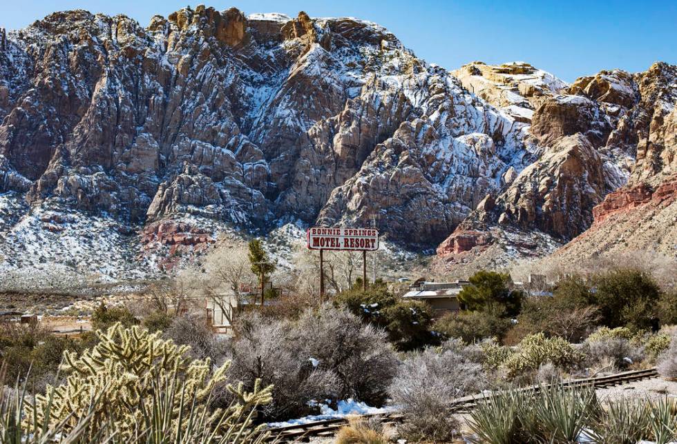 Bonnie Springs Ranch, Feb. 24, 2019. (Rachel Aston/Las Vegas Review-Journal) @rookie__rae