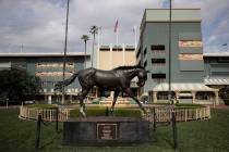 A statue of Zenyatta stands in the paddock gardens area at Santa Anita Park Tuesday, March 5, 2019, in Arcadia, Calif. A person with direct knowledge of the situation says a another horse has died ...
