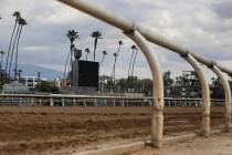 After reaching an agreement to delay implementation of a ban on race-day medication, management at Santa Anita Park now plans to reopen for racing Friday, March 29, 2019, in Arcadia, Calif. (AP Ph ...