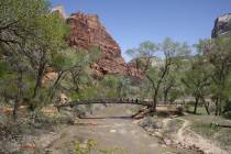 A footbridge is used by hikers to cross over the North Fork of the Virgin River. (Deborah Wall/ ...