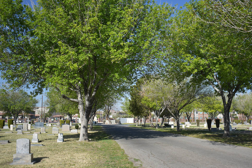 A road through Woodlawn cemetery surrounded by trees on Monday, March 25. Rachel Spacek/Las Vegas Review-Journal @RachelSpacek