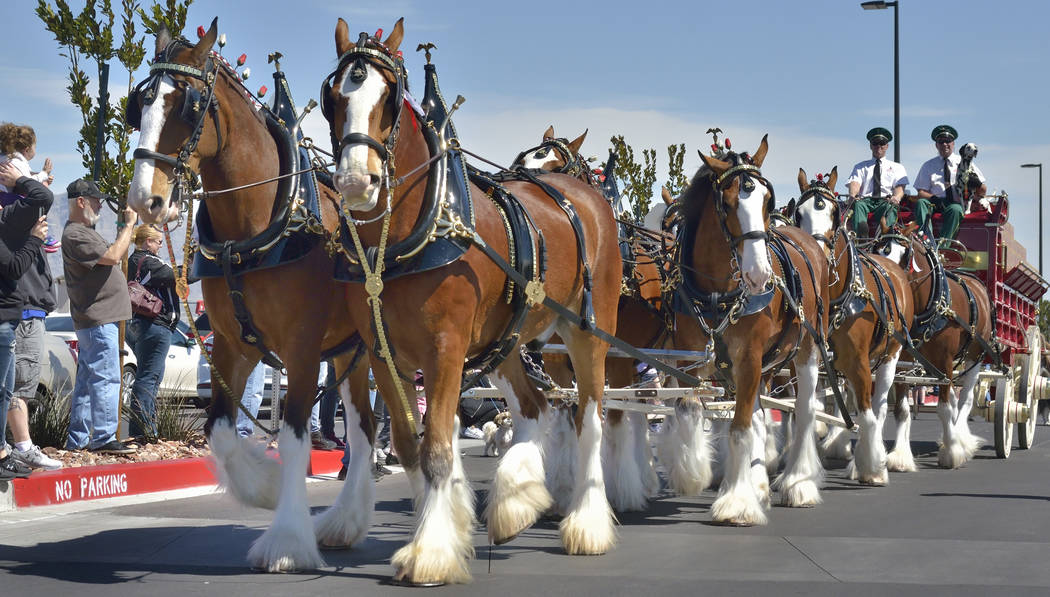 The Budweiser Clydesdales are shown during a visit to the Smith’s Marketplace at 9710 W. Skye Canyon Park Drive in Las Vegas on Saturday, March 23, 2019. (Bill Hughes/Las Vegas Review-Journal)