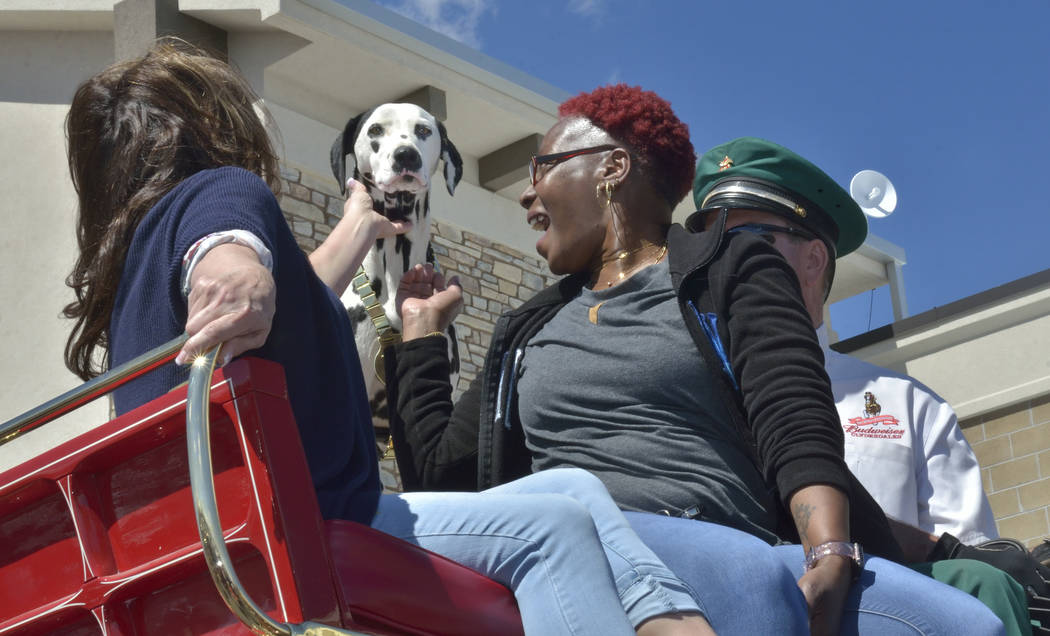 Alice, the Budweiser Clydesdales' mascot, is given some attention by Diana Bearden, left, and Jenny Porter during a visit by the Clydesdales at the Smith’s Marketplace at 9710 W. Skye Canyo ...