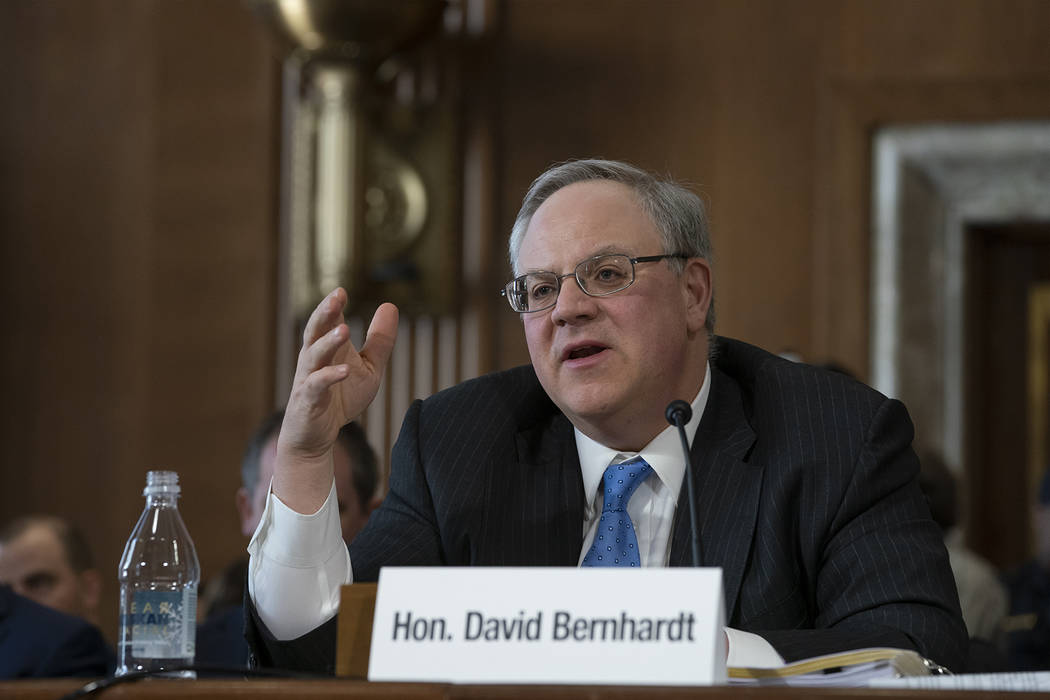 David Bernhardt, a former oil and gas lobbyist, speaks before the Senate Energy and Natural Res ...