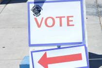 Nine candidates will vie to be former Las Vegas Councilman Steve Seroka's successor in a Ward 2 ...