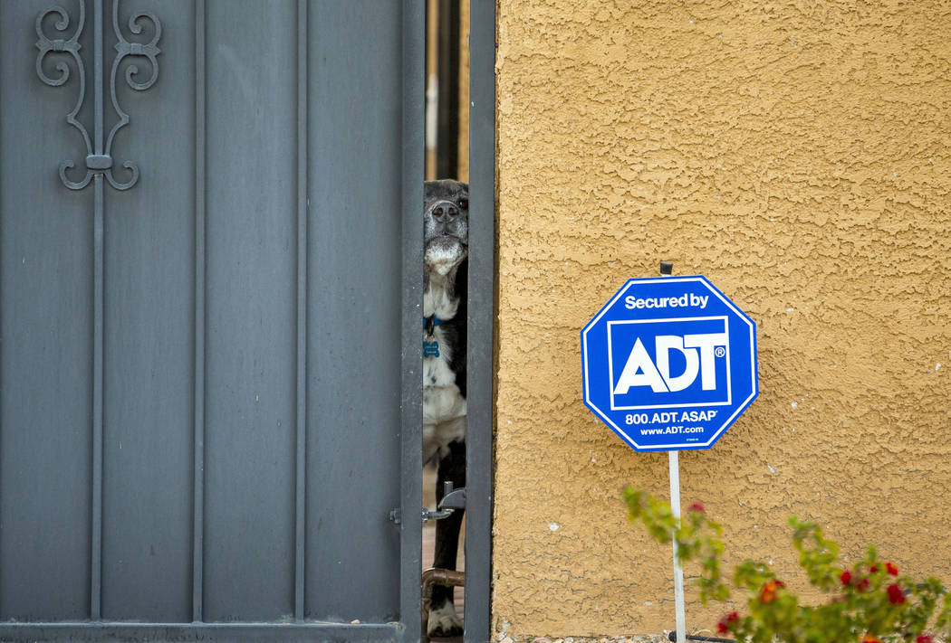 A dog peeks outside through the gate of a house about Huntridge Circle Park, Wednesday, March 2 ...