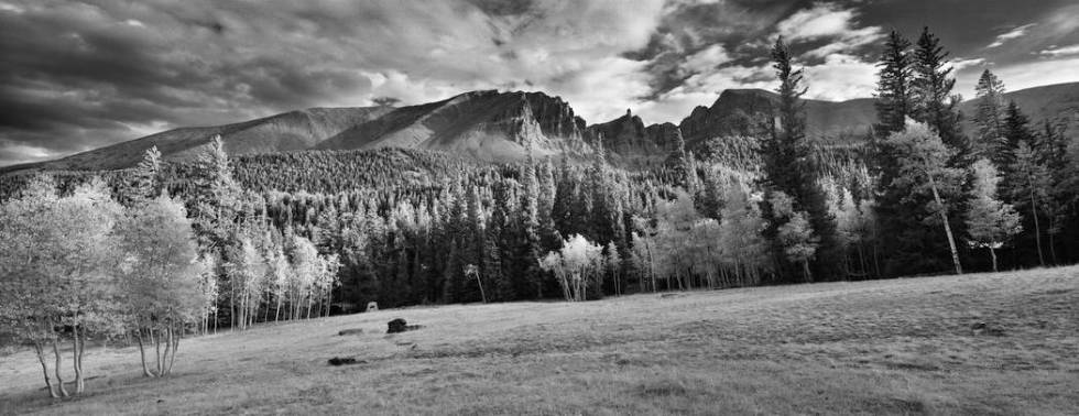 Wheeler Peak Campground at Great Basin National Park (Cody Brothers)