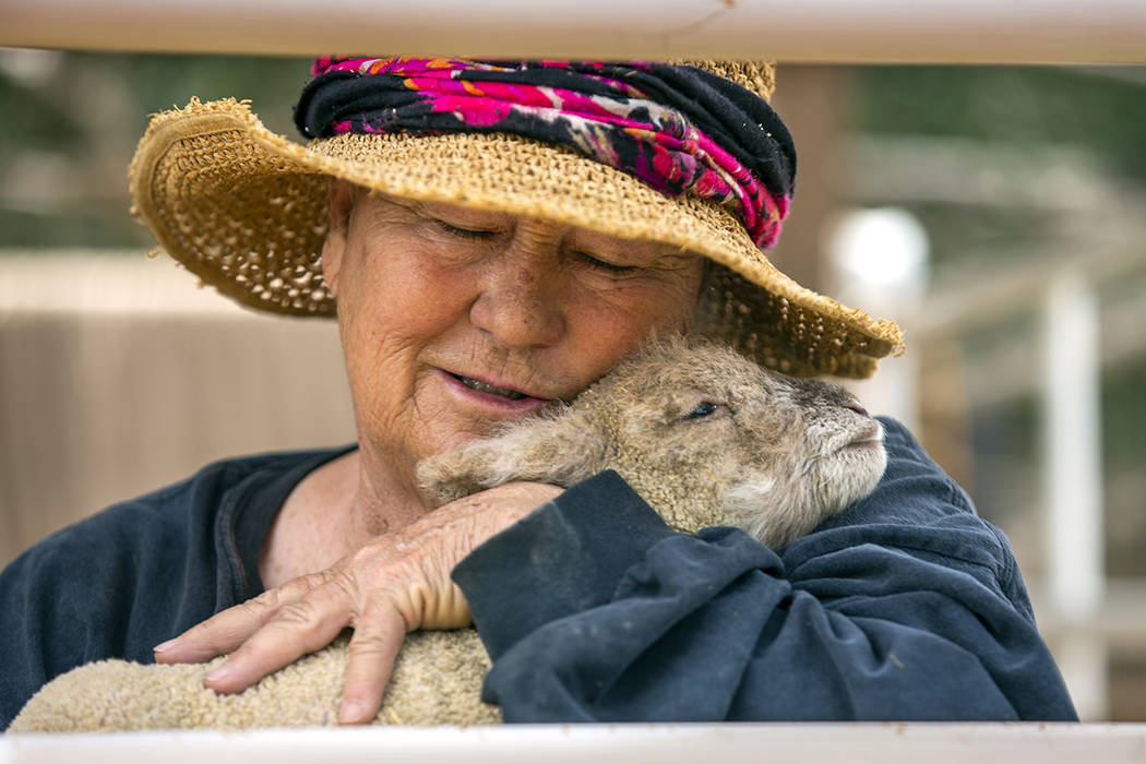 The Las Vegas Farm owner Sharon Linsenbardt hugs a baby lamb. She is concerned about the condit ...