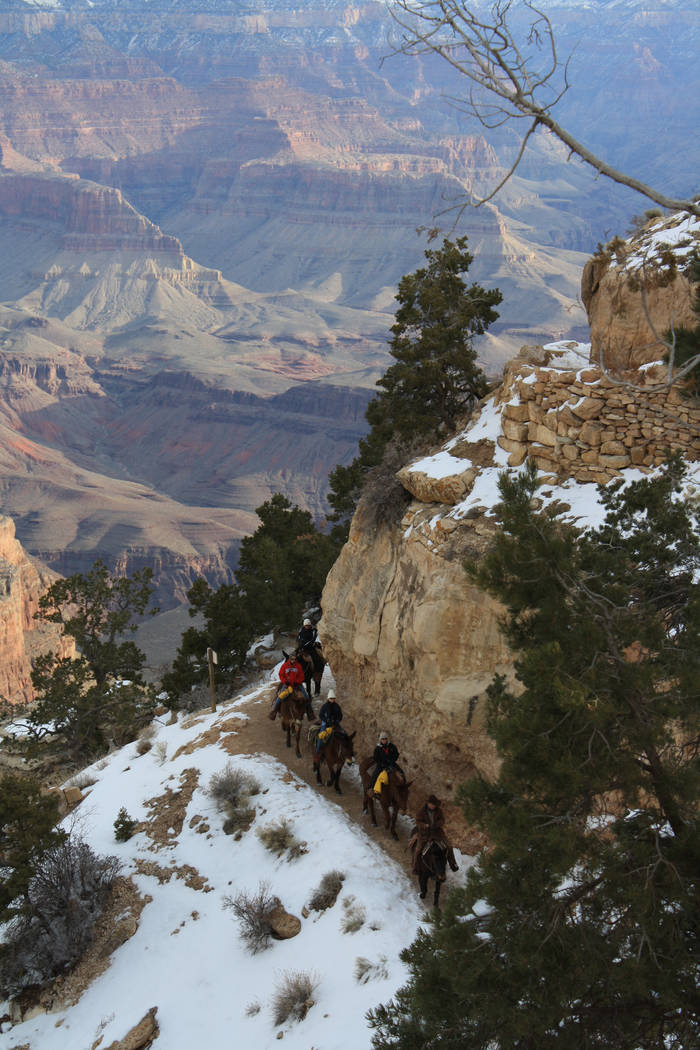 The Bright Angel Trail in Grand Canyon National Park. (Deborah Wall/Las Vegas Review-Journal)