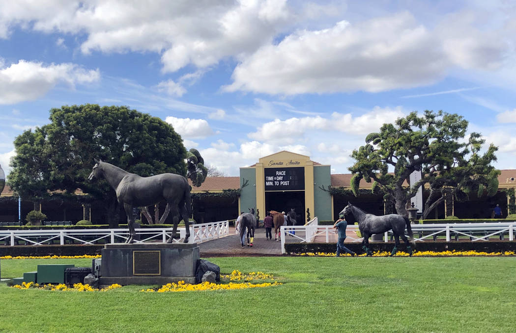 Horses are led to paddocks past the Seabiscuit statue during workouts at Santa Anita Park, as m ...