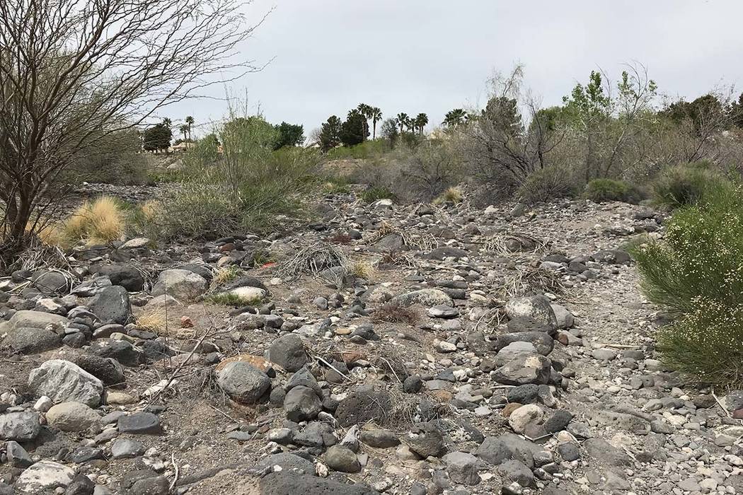 The Pittman Wash trail behind the Silver Springs Recreation Center on Monday, March 9. (Rachel ...