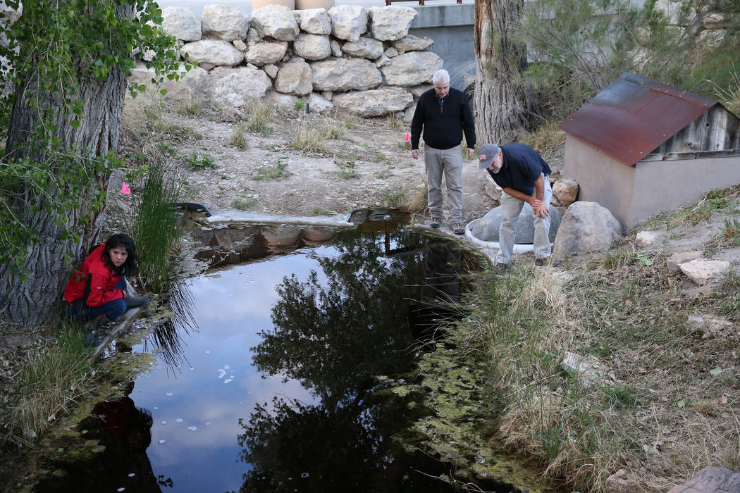 Rebeca Rivera, from left, research assistant at UNLV, Raymond Saumure, environmental biologist ...