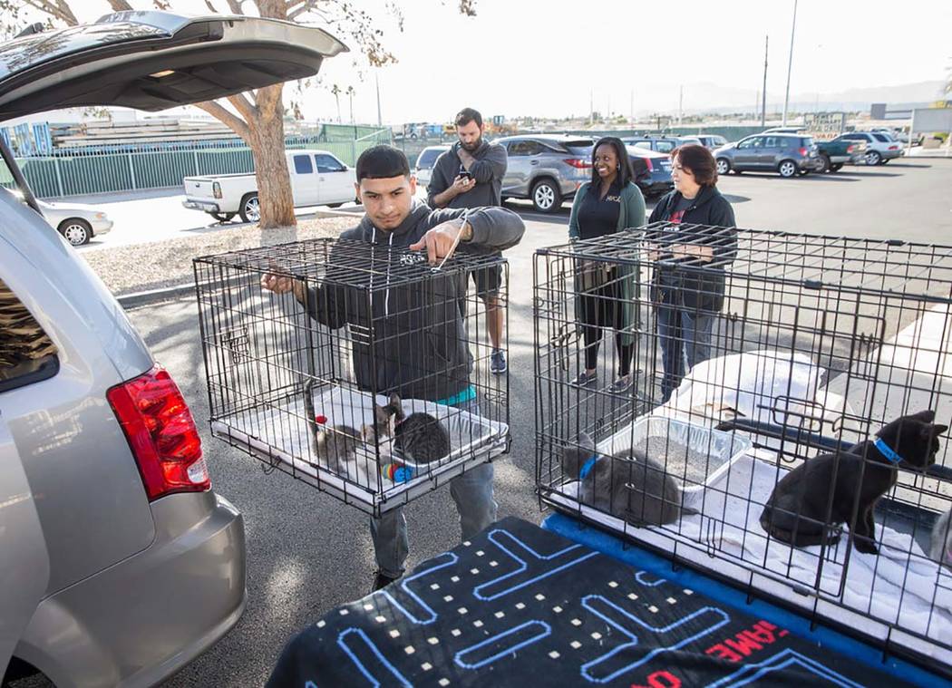 Abel Vargas-Moreno, left, lifts a crate of kittens out of a delivery van at the Nevada Society ...