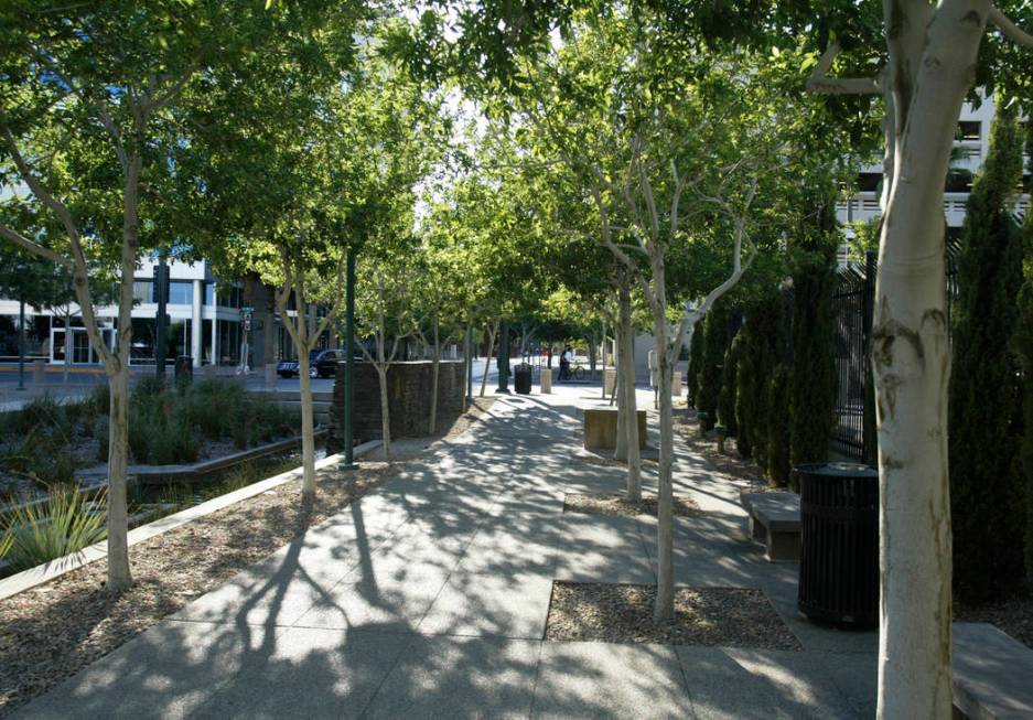 Trees line a walkway in the Centennial Plaza on Sunday, June 22, 2008, in downtown Las Vegas. ( ...