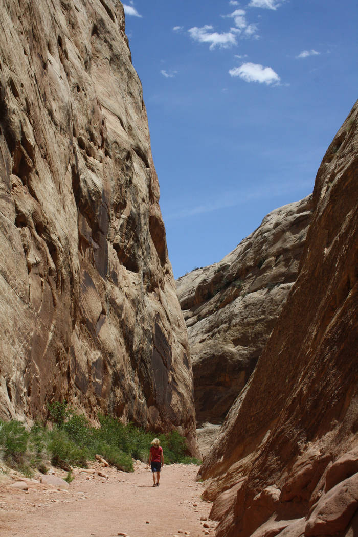 The Capitol Gorge Trail was the main east-west road through this remote area of Utah until 1962 ...