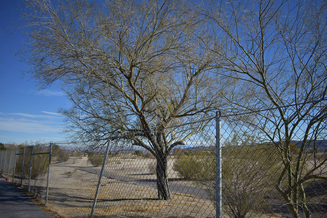 The metal fence that surrounds the perimeter of Black Mountain Golf Course & Country Club betwe ...