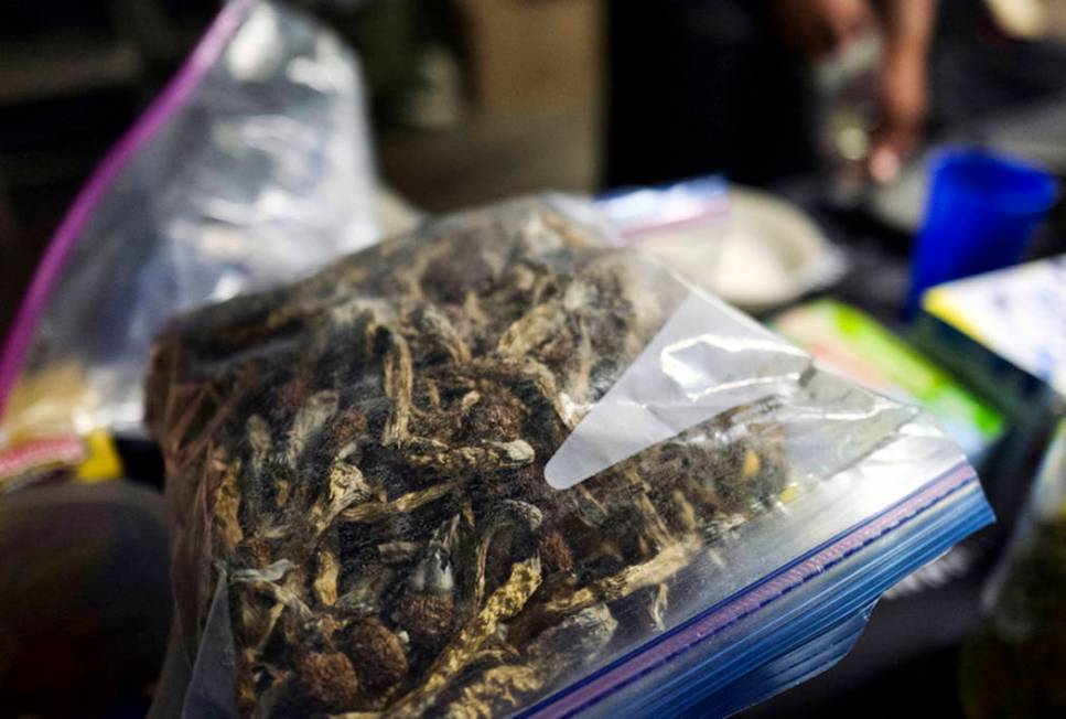 A vendor bags psilocybin mushrooms at a pop-up cannabis market in Los Angeles on Monday, May 6, ...