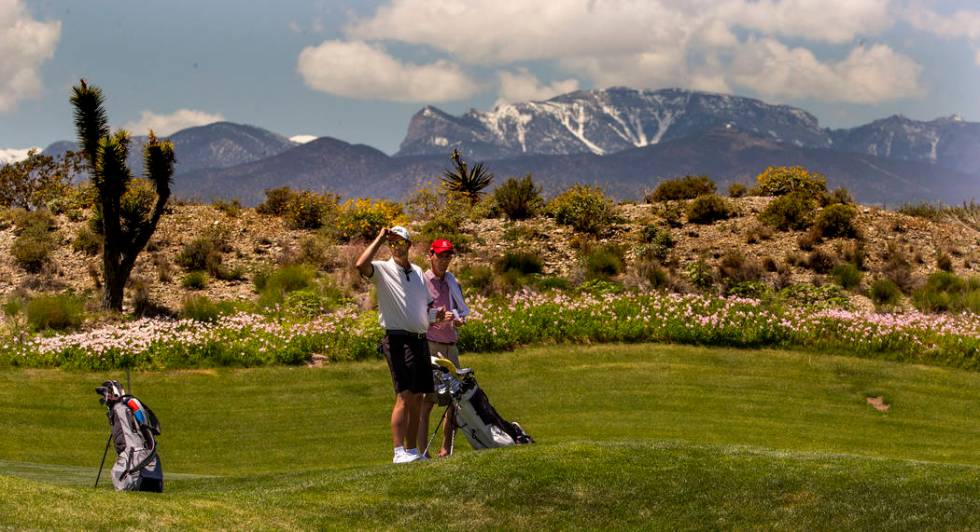 Player Edward Fryatt and his caddy eye the next shot during a PGA US Open qualifying round at t ...