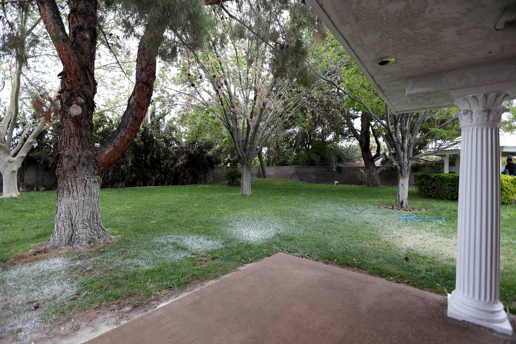 The backyard of the former house of Jerry Lewis in Las Vegas, Wednesday, May 15, 2019. Jane Pop ...