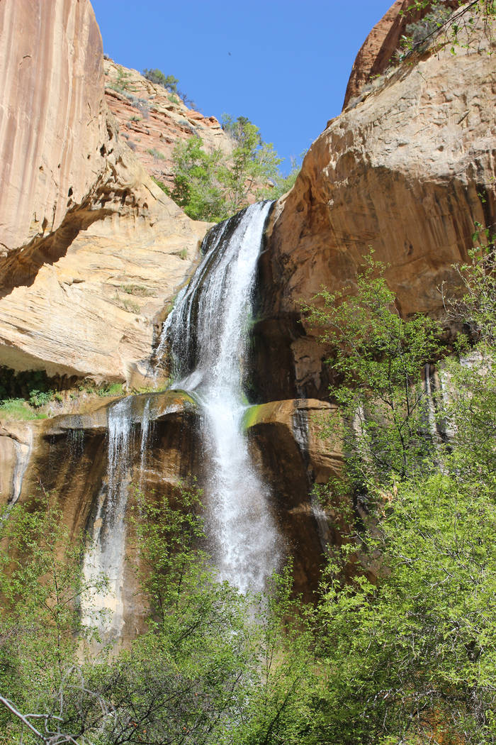 The 126-foot Lower Calf Creek Falls is located in Grand Staircase-Escalante National Monument a ...