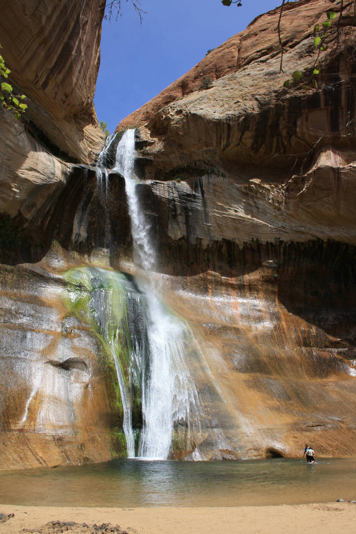 Hikers can enjoy wading or swimming in the pool at the base of Lower Calf Creek Falls. (Deborah ...