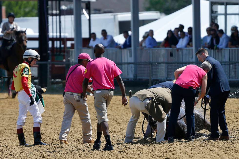 Jockey Trevor McCarthy, left, looks on as track officials tend to his ride Congrats Gal after t ...