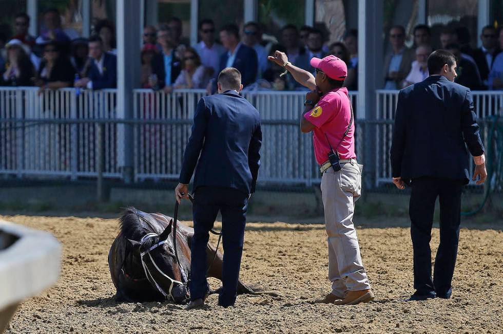 Track officials tend to Congrats Gal after the horse collapsed after the eighth horse race at P ...