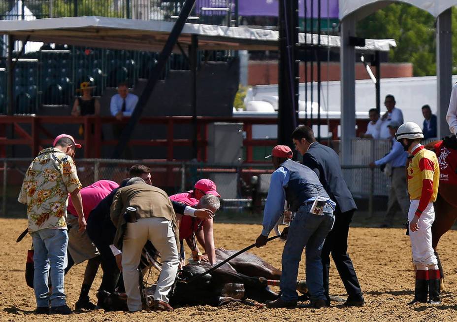 Jockey Trevor McCarthy, right, looks on as track officials tend to his ride Congrats Gal after ...